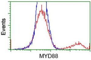 HEK293T cells transfected with either RC202253 overexpress plasmid (Red) or empty vector control plasmid (Blue) were immunostained by anti-MYD88 antibody (ABIN2453986), and then analyzed by flow cytometry. (MYD88 Antikörper)