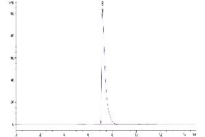 Size-exclusion chromatography-High Pressure Liquid Chromatography (SEC-HPLC) image for Alanyl (Membrane) Aminopeptidase (ANPEP) (AA 69-966) protein (His tag) (ABIN7273840)