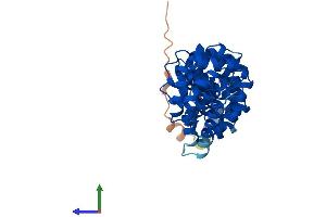 Protein Structure (PS) image for Rhabdoid Tumor Deletion Region Gene 1 (RTDR1) (AA 1-348) protein (His tag) (ABIN7551578)