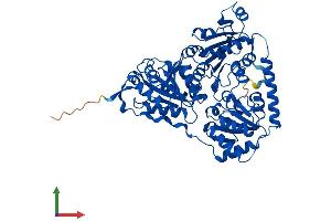 Protein Structure (PS) image for 2-Hydroxyacyl-CoA Lyase 1 (HACL1) (AA 1-578) protein (His tag) (ABIN7548258)
