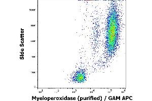 Flow cytometry intracellular staining pattern of human peripheral whole blood stained using anti-human Myeloperoxidase (MPO421-8B2) purified antibody (concentration in sample 1 μg/mL) GAM APC. (Myeloperoxidase Antikörper)