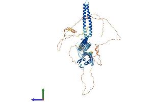 AlphaFold protein structure predicition of Mouse Recombinant Kcnn3 Protein, UniprotID P58391