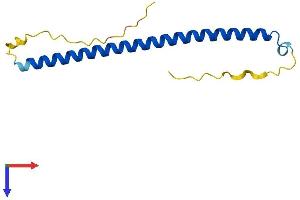 BATF3 Protein (AA 1-127) (His tag)