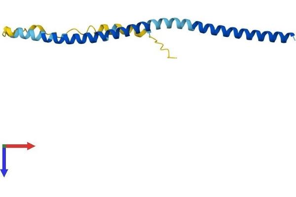 VAMP4 Protein (AA 1-141) (His tag)