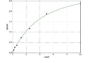 Erythropoietin Receptor (EPOR) ELISA Kit