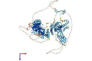 AP4E1 Protein (AA 1-1122) (His tag)