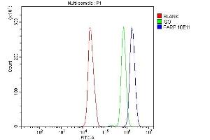 Flow Cytometry analysis of HL-60 cells using anti-PARP antibody (ABIN7602276).