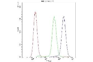 Flow Cytometry analysis of A549 cells using anti-ADO antibody (ABIN4886431). (ADO Antikörper  (AA 49-261))