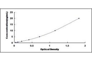 Typical standard curve (PRELP ELISA Kit)