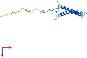 C20orf30 Protein (AA 1-120) (His tag)