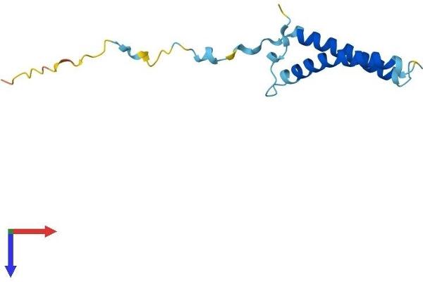 C20orf30 Protein (AA 1-120) (His tag)