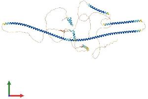 Protein Structure (PS) image for Angiomotin Like 2 (AMOTL2) (AA 1-772) protein (His tag) (ABIN7564647)