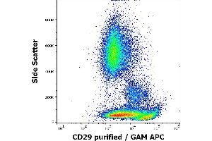 Flow cytometry surface staining pattern of human peripheral whole blood stained using anti-human CD29 (MEM-101A) purified antibody (concentration in sample 3 μg/mL) GAM APC. (ITGB1 Antikörper)