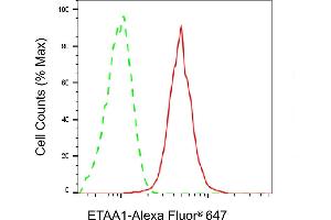 Flow cytometric analysis of ETAA1 expression in HepG2 cells using ETAA1 antibody (ABIN7798538), 1:2,000). (Rekombinanter ETAA1 Antikörper)