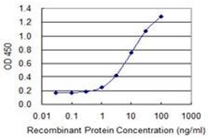 Detection limit for recombinant GST tagged DPYSL3 is 0. (DPYSL3 Antikörper  (AA 457-555))