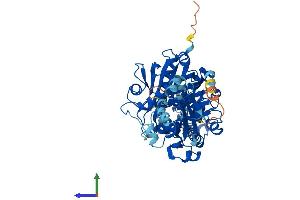 AlphaFold protein structure predicition of Mouse Recombinant Scp2 Protein, UniprotID P32020