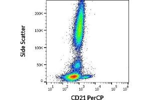 Flow cytometry surface staining pattern of human peripheral whole blood stained using anti-human CD21 (LT21) PerCP antibody (10 μL reagent / 100 μL of peripheral whole blood). (CD21 Antikörper  (PerCP))
