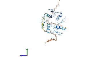 Protein Structure (PS) image for Zinc Finger Protein 22 (ZNF22) (AA 1-224) protein (His tag) (ABIN7545411)