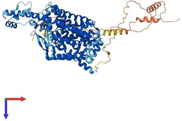 SLC6A16 Protein (AA 1-736) (His tag)