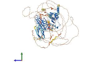 Protein Structure (PS) image for Chromosome 11open Reading Frame 9 (C11orf9) (AA 1-1138) protein (His tag) (ABIN7563745)