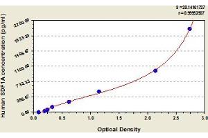 Chemokine (C-X-C Motif) Ligand 12 (CXCL12) ELISA Kit