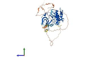 AlphaFold protein structure predicition of Human Recombinant RPS6KB1 Protein, UniprotID P23443