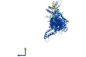 Protein Structure (PS) image for Cytoplasmic FMR1 Interacting Protein 1 (CYFIP1) (AA 1-1253) protein (His tag) (ABIN7564188)