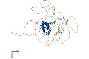 TAGAP Protein (AA 1-714) (His tag)