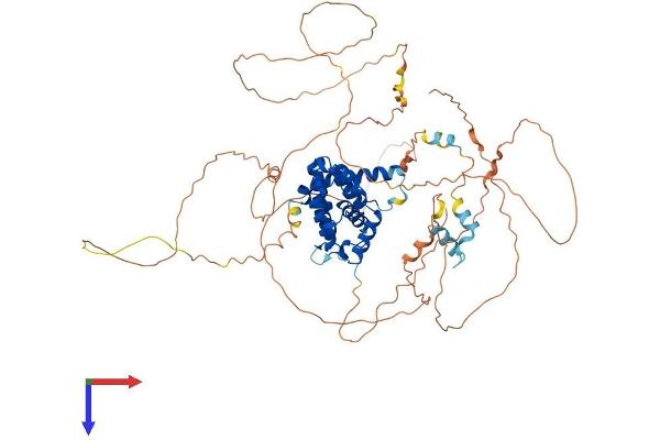 TAGAP Protein (AA 1-714) (His tag)