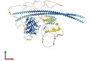 AlphaFold protein structure predicition of Human Recombinant TAOK2 Protein, UniprotID Q9UL54