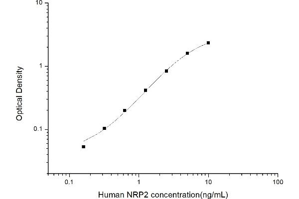 NRP2 ELISA Kit