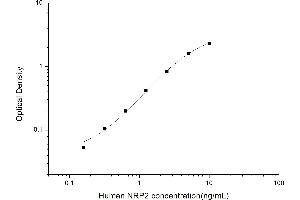 Typical standard curve (NRP2 ELISA Kit)