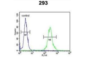 Flow cytometric analysis of 293 cells (right histogram) compared to a negative control cell (left histogram) using MRAP Antibody (N-term), followed by FITC-conjugated goat-anti-rabbit secondary antibodies.