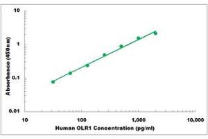 Representative Standard Curve (OLR1 ELISA Kit)