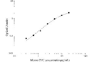 Typical Standard Curve