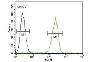 Flow Cytometry (FACS) image for anti-Serpin Family A Member 7 (SERPINA7) antibody (ABIN5022664) (SERPINA7 Antikörper)