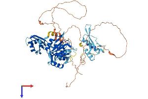 A1CF Protein (AA 1-595) (His tag)