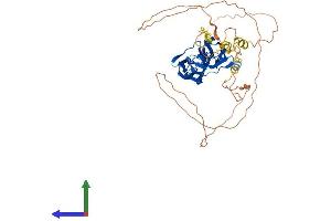 Protein Structure (PS) image for Myotilin (MYOT) (AA 1-498) protein (His tag) (ABIN7549665)