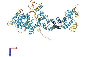 CENPI Protein (AA 1-746) (His tag)