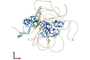 Protein Structure (PS) image for SET Domain, Bifurcated 1 (SETDB1) (AA 1-1307) protein (His tag) (ABIN7562697)