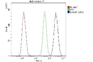 Flow Cytometry analysis of U20S cells using anti-EWSR1 antibody (ABIN3043825).