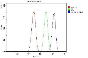 Flow Cytometry analysis of HepG2 cells using anti-EIF4A antibody (ABIN7601309). (EIF4A1 Antikörper  (AA 32-406))