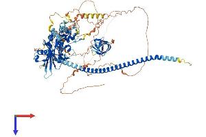 CCAR2 Protein (AA 1-923) (His tag)