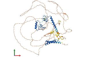 Protein Structure (PS) image for Lin-54 Homolog (LIN54) (AA 1-749) protein (His tag) (ABIN7554399)