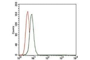 Flow cytometric analysis of K562 cells using CD55 mouse mAb (green) and negative control (red).