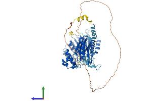 Protein Structure (PS) image for Methyltransferase Like 16 (METTL16) (AA 1-562) protein (His tag) (ABIN7549351)