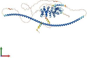 Protein Structure (PS) image for Coiled-Coil Domain Containing 138 (CCDC138) (AA 1-680) protein (His tag) (ABIN7556957)