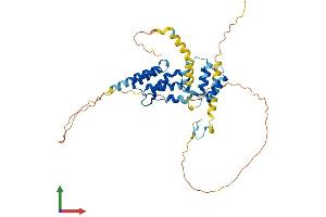 AlphaFold protein structure predicition of Human Recombinant ZCCHC18 Protein, UniprotID P0CG32