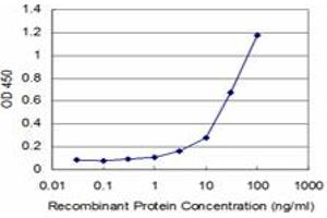 Detection limit for recombinant GST tagged STYK1 is approximately 3ng/ml as a capture antibody. (STYK1 Antikörper  (AA 50-159))