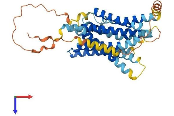 SLC39A13 Protein (AA 1-371) (His tag)
